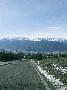 spgm-1.4.7/gal/Inverno a Sfruz 26-30 dicembre 2014/_thb_sfruz2014inverno1.jpg